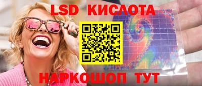 apvp Кингисепп