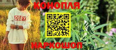 прущие грибы Кимры