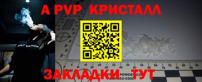 apvp Кингисепп