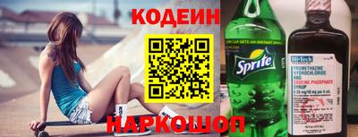 apvp Кингисепп