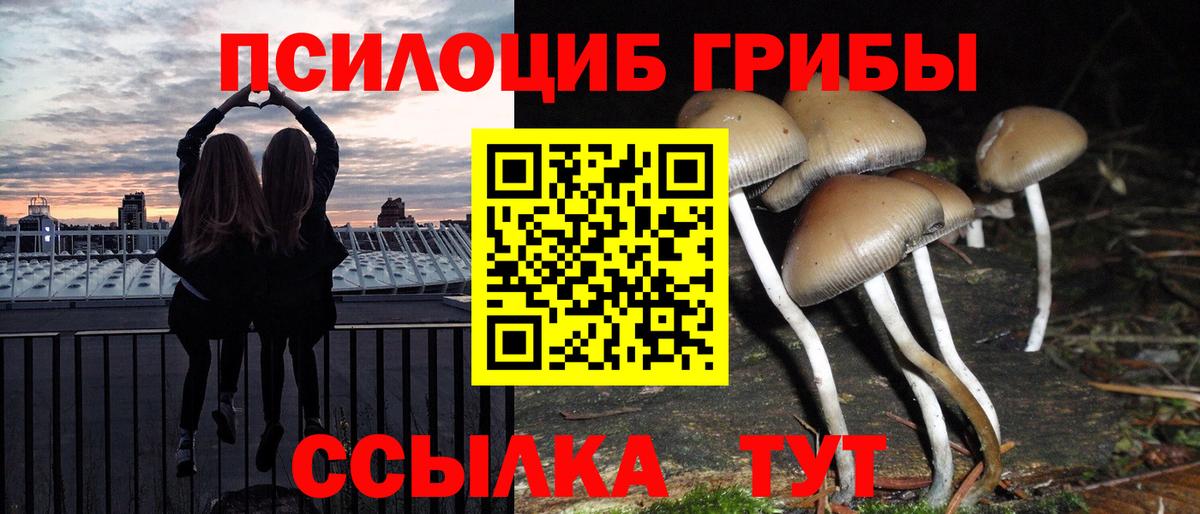 Костомукша  Галлюциногенные грибы GOLDEN TEACHER  Псилоцибиновые грибы Psilocybe  Вход с VPN 
